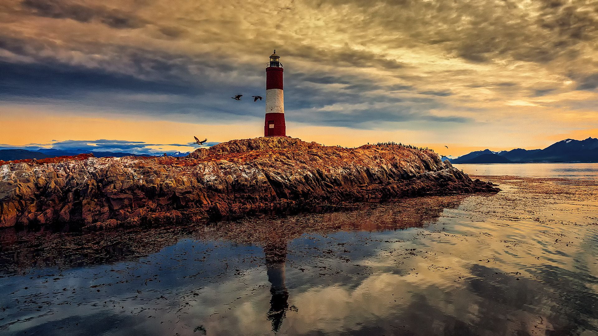 Canal Beagle